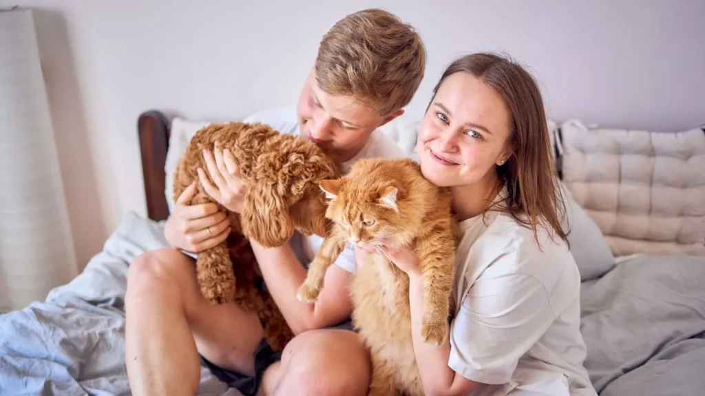 Elegir el mejor seguro de mascotas te da tranquilidad ante cualquier imprevisto con tu perro o gato