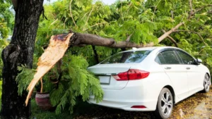 Si un árbol cae sobre mi coche, lo primero es documentar toda la incidencia